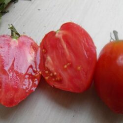 Tomate Mas de Ruiz
