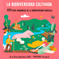 *Bono de apoyo FEBA/FABA 2025 Tarazona