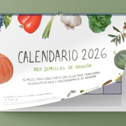 * Calendario RSA 2026