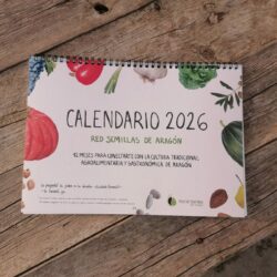 * Calendario RSA 2026