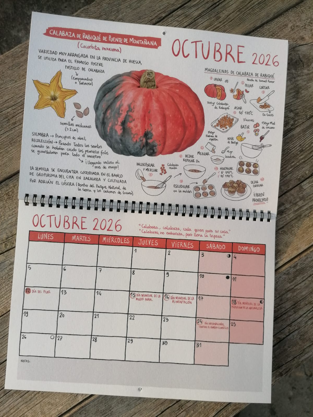 * Calendario RSA 2026 - Imagen 3