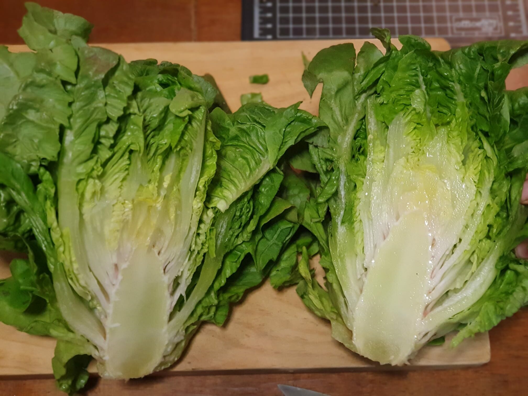 Lechuga moreneta de Ontiñena - Imagen 4