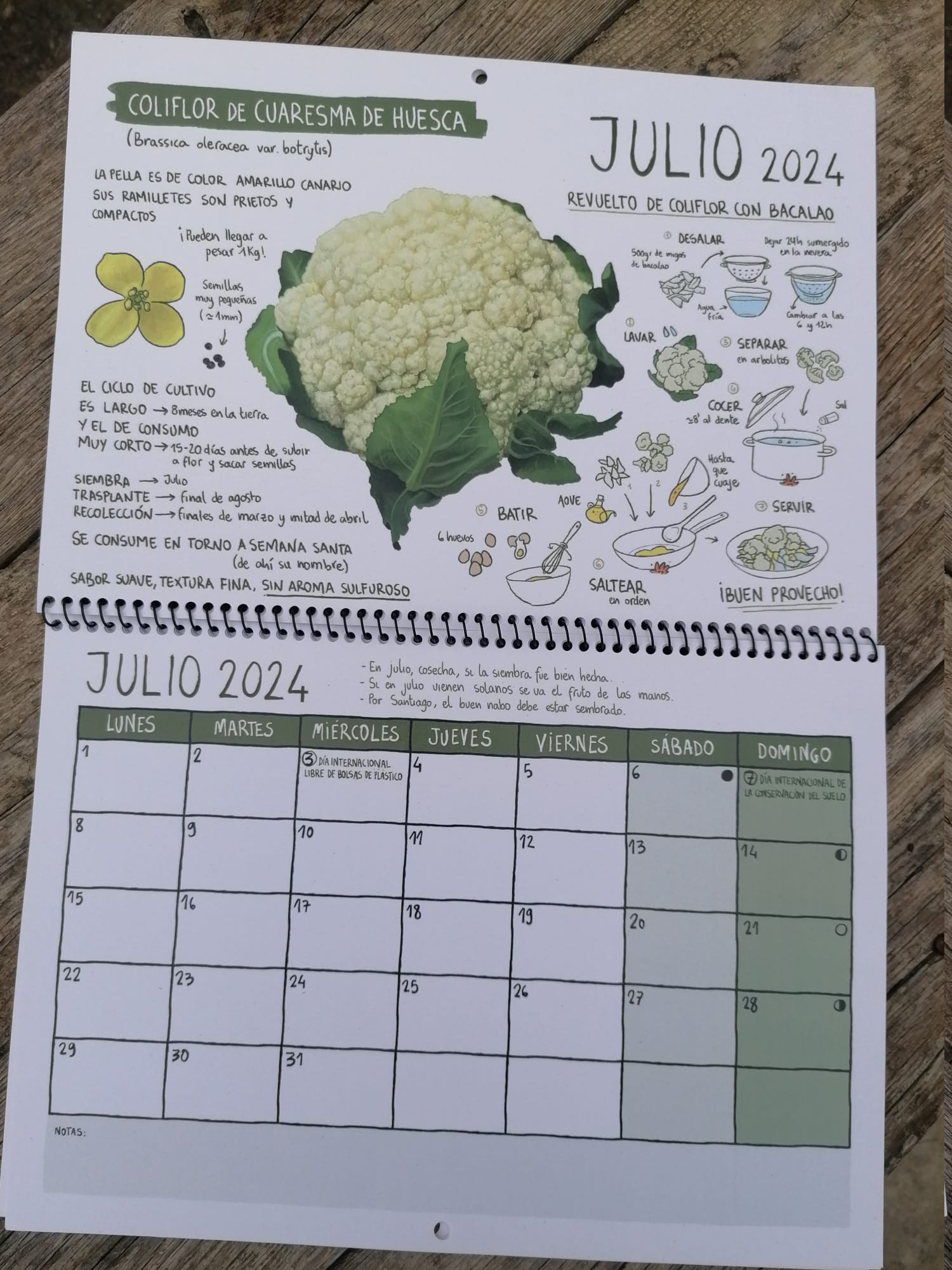 * Calendario RSA 2024 (Ed. coleccionista) - Imagen 8