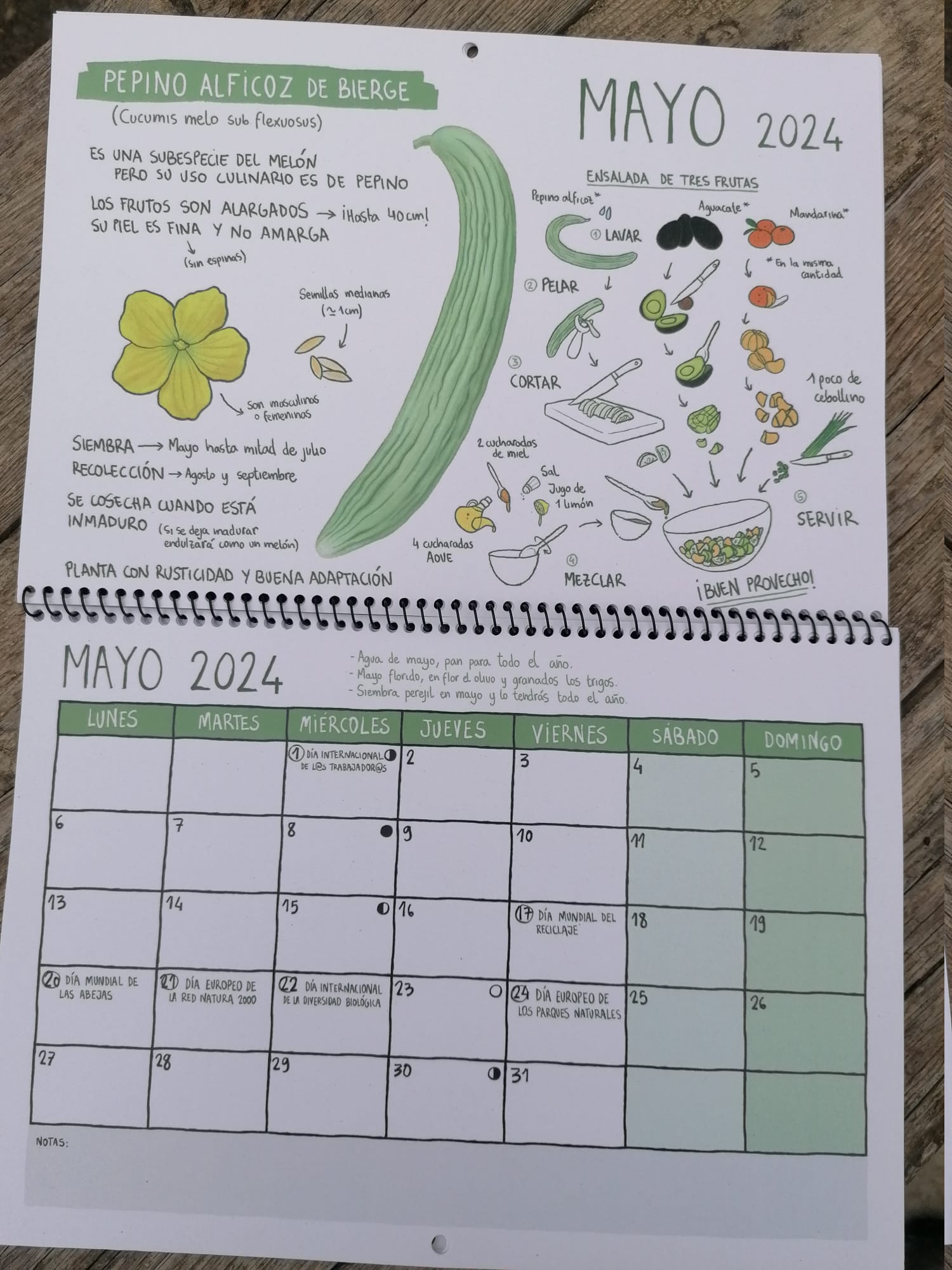 * Calendario RSA 2024 (Ed. coleccionista) - Imagen 6