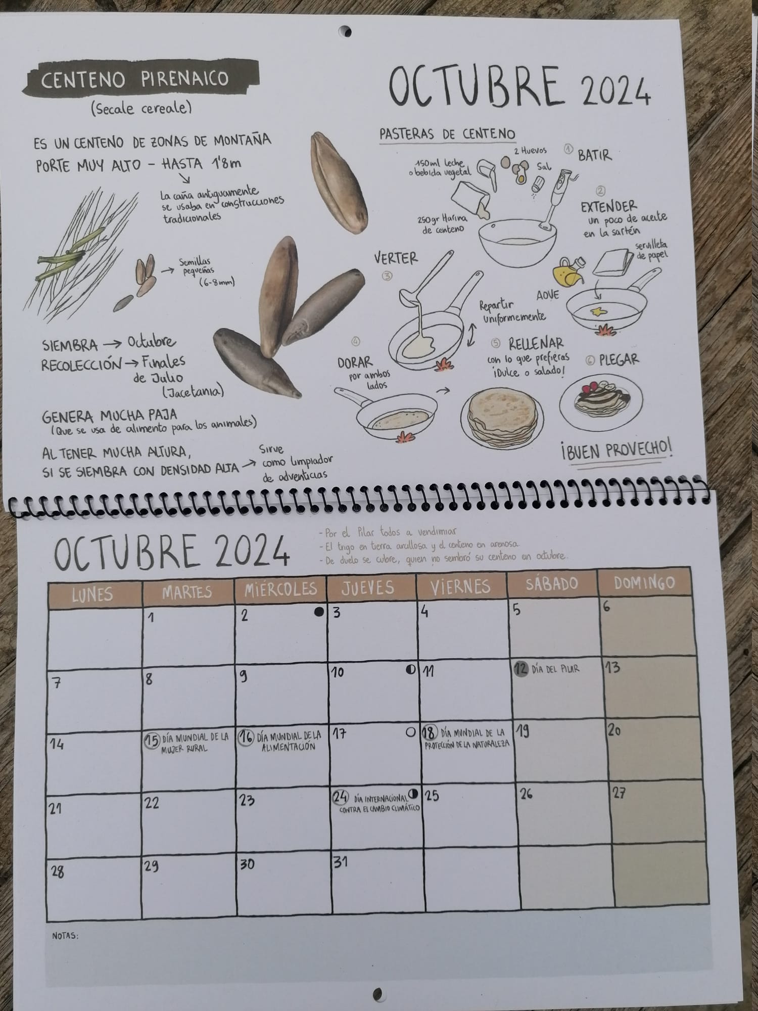 * Calendario RSA 2024 (Ed. coleccionista) - Imagen 11