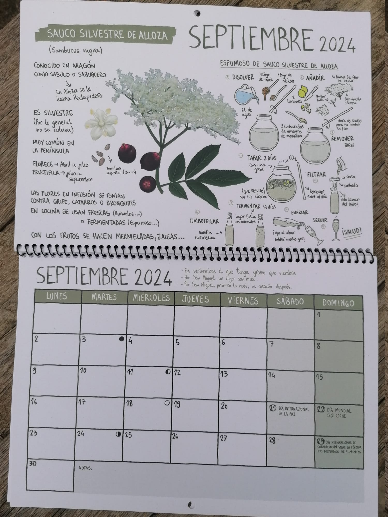 * Calendario RSA 2024 (Ed. coleccionista) - Imagen 10