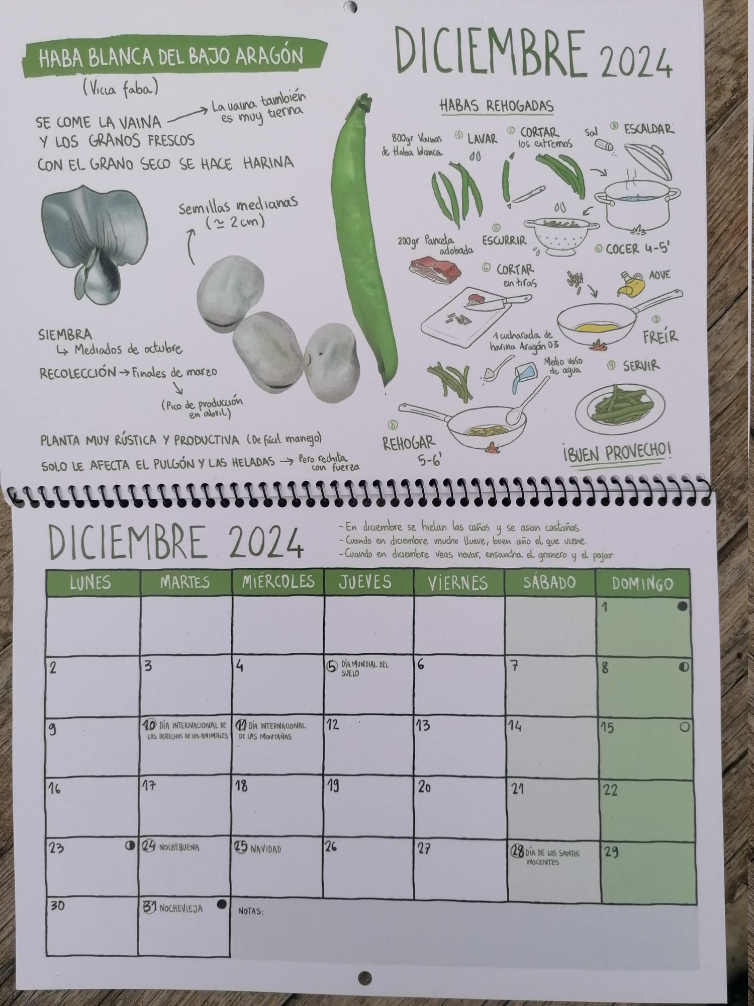 * Calendario RSA 2024 (Ed. coleccionista) - Imagen 13